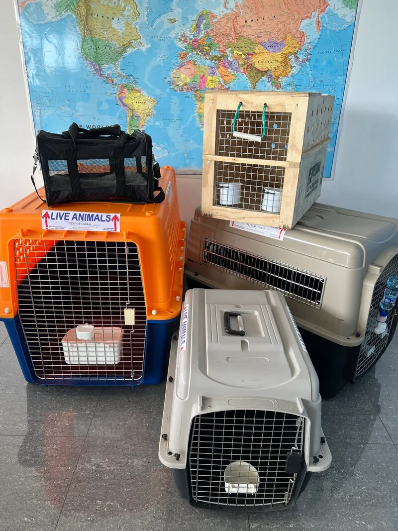 Crates & Accessories