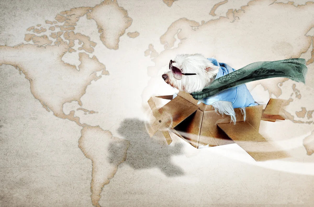 Pet Import & Export Services