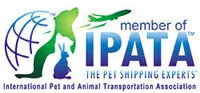 IPATA