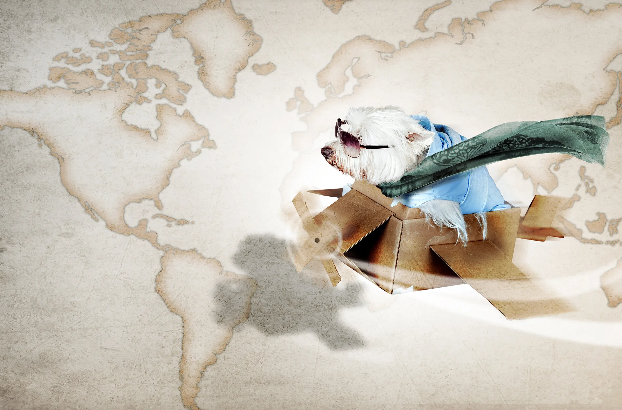 A little white dog in a paper aeroplane flying across a world map