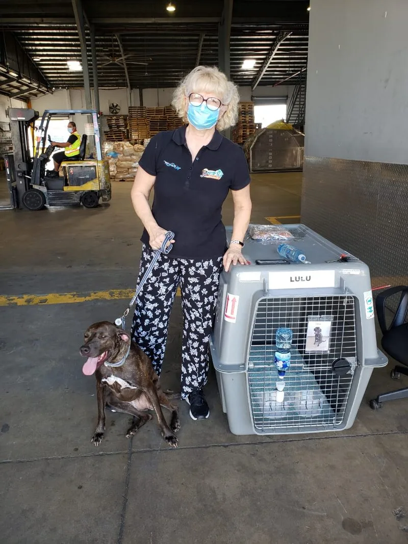 Pets Go Global team at the cargo terminal